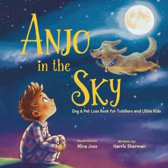 Published client book cover: Anjo in the Sky by Hans Sharma